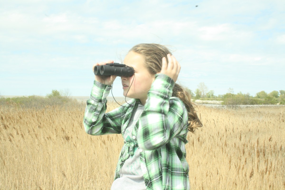 The Lord Sustains: Psalm&nbsp;3